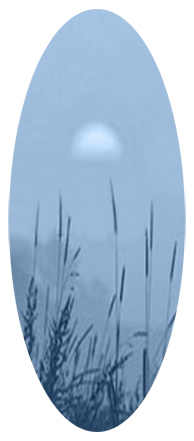 Harvest Sunrise Blue